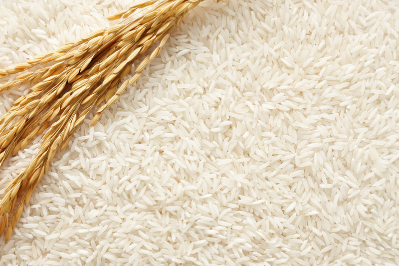 Rice